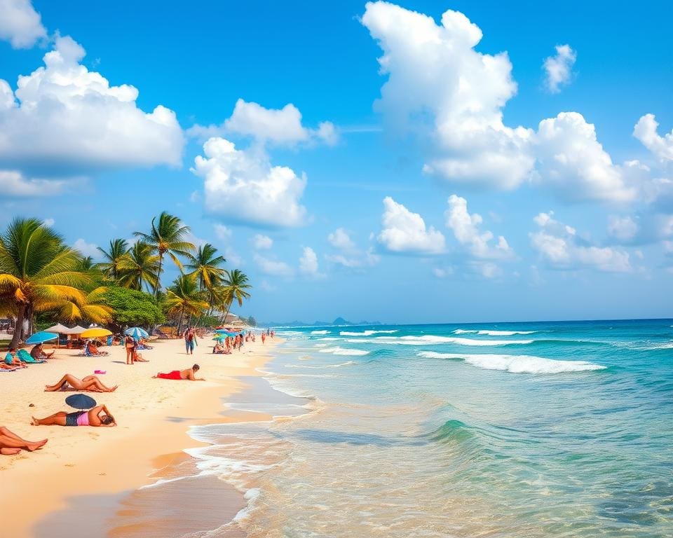 Hoe plan je een perfecte dag aan het strand?