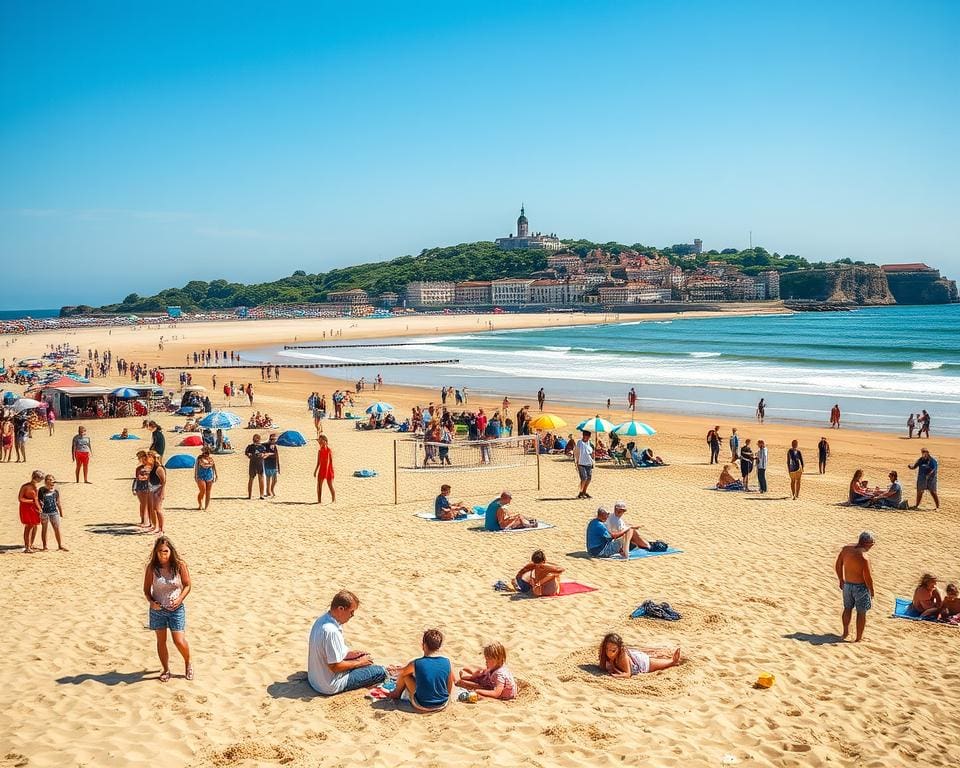 Wat kun je beleven aan de Belgische kust?