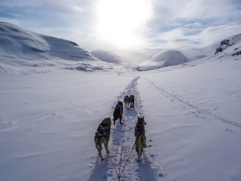 winterexpeditie in Noorwegen